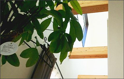 天窓からやわらかな光が差し込む施術室